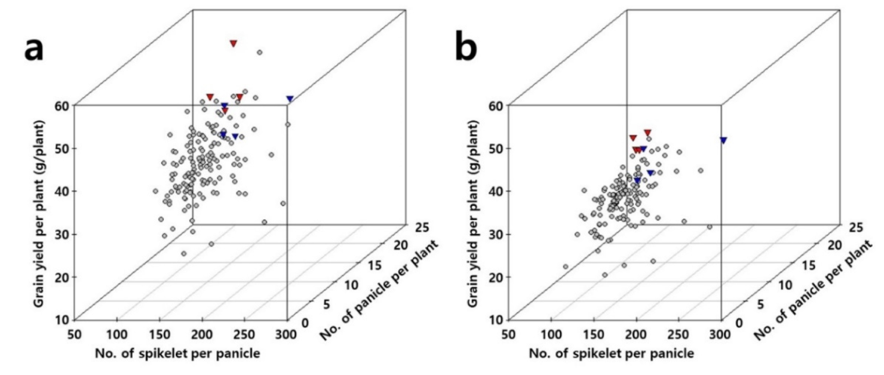 Low Nitrogen Level Rice Effects of Nitrogen Application Levels on Grain Yield and Yield-related ...